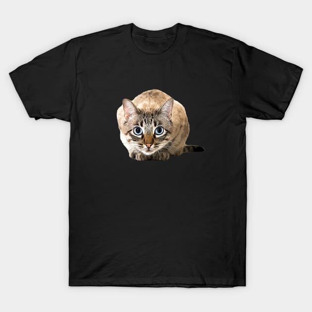 Bengal cat sale t shirt